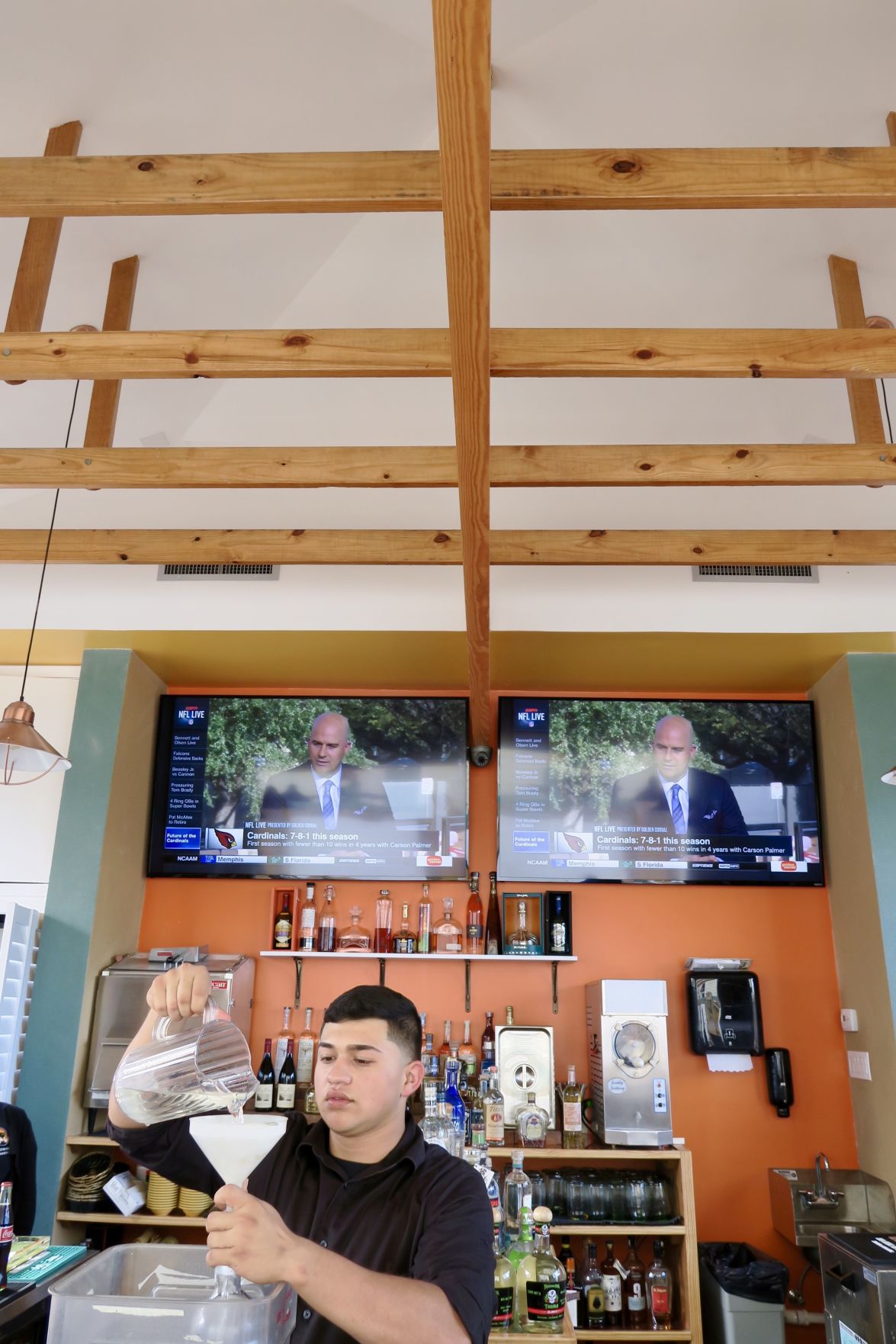gato bar.jpg
